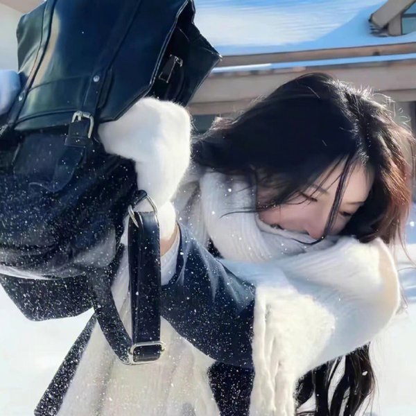 虎尾兰之梦
